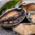 완도 활전복 1.5kg 21-23마리