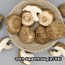 국내산 생포고버섯 500g(특/상품)