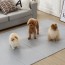 휴팡 PVC 단면 4T 폴딩형 강아지매트 미끄럼방지 슬개골보호 애견매트 대형(5단 접이식) 110 x 220cm