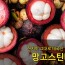 [수입과일] 현지맛 그대로 태국산 망고스틴 5kg 10망