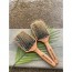 포핀 프리미엄패들 브러쉬(너도밤 나무100%, 재생플라스틱 친화경 소재 패들 브러쉬)