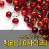 [수입과일] 싱싱한 미국산 체리 2.5kg (10사이즈)