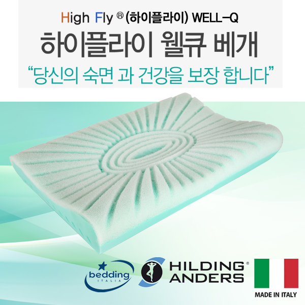 하이플라이 웰큐 목경추 메모리폼 베개