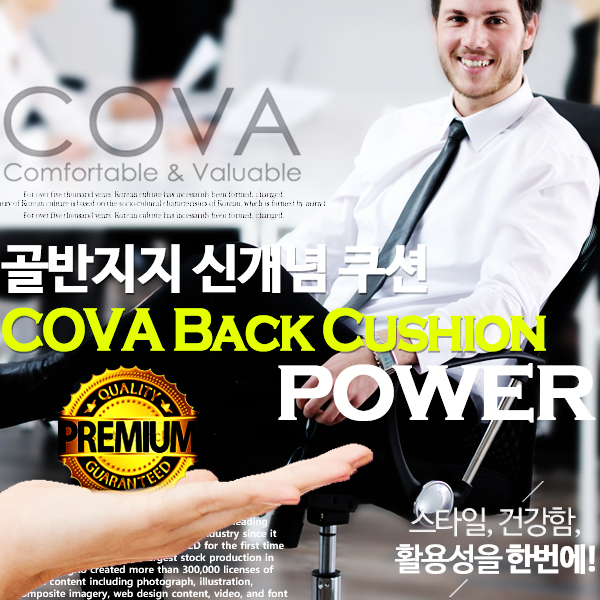 골반지지 쿠션 COVA 등큐션