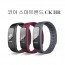 코아 스마트밴드 COA CK HR
