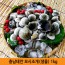 충남태안 모시조개[생물] 1kg
