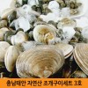 충남태안 자연산 조개구이세트3호