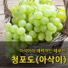[수입과일] 아삭아삭 매력적인 페루산 청포도(아삭이) 3kg