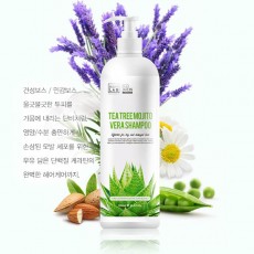 [박준]청담샵에서 판매하는 에코쟈뎅 티트리 모히토 베라 샴푸(대용량)1000ml/ 한정수량 특가