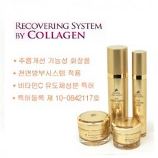 뉴고은콜라겐 기능성4종셋트
