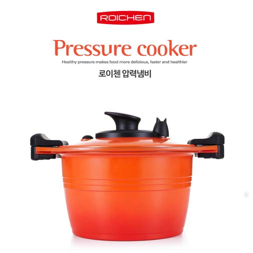 로이첸 압력 냄비 6.5L (24cm양수)
