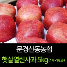 [문경명품사과]햇살열린사과 5kg(14~16과)