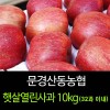 [문경명품사과]햇살열린사과 10kg(32과 이내)