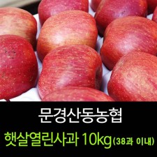 [문경명품사과]햇살열린사과 10kg(38과 이내)