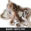 충남태안 기절낙지 4마리(대1마리,특대2마리,왕특대1마리)