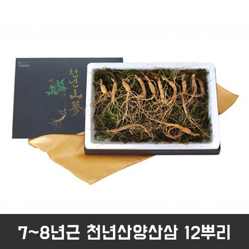 7~8년근 천년산양산삼 12뿌리