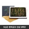 5년근 청탁금지 산삼 5뿌리