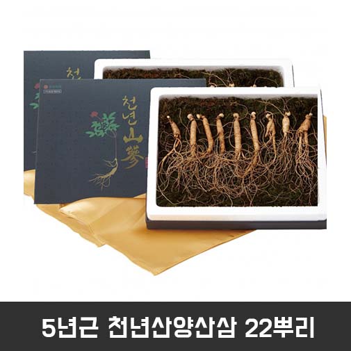 5년근 천년산양산삼 22뿌리