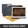 5년근 천년산양산삼 22뿌리