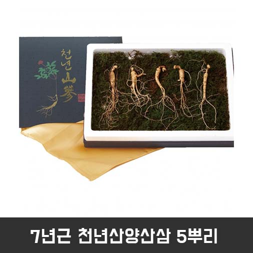 7년근 천년산양산삼 5뿌리