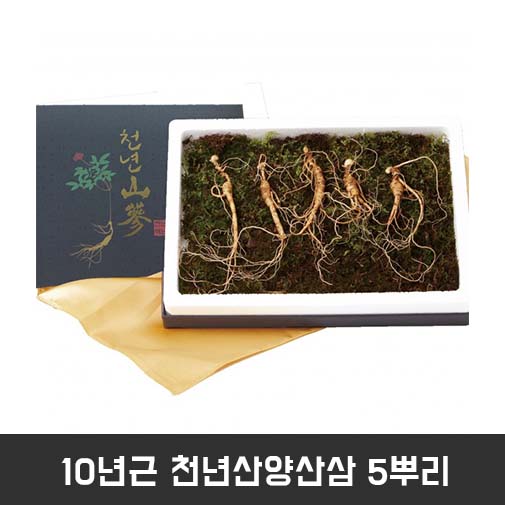 10년근 천년산양산삼 5뿌리