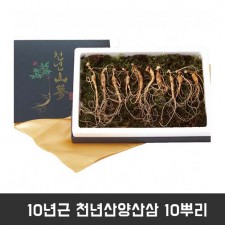 10년근 천년산양산삼 10뿌리