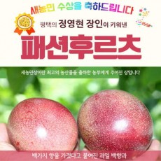 평택 정영현 장인의 백향과(패션후르츠) 1kg 15과내외