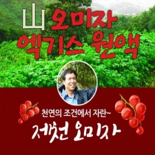 월악산 오미자 원액 1BOX_1.5L*2병
