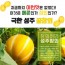 성주 참외 로얄참외 2.5k(4~7과)