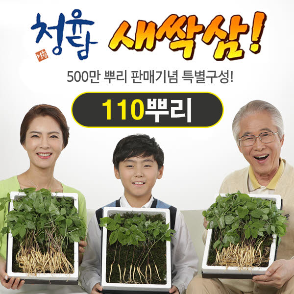 청유담 새싹삼 110뿌리