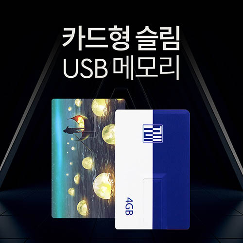 투이 카드형 USB 메모리 4G