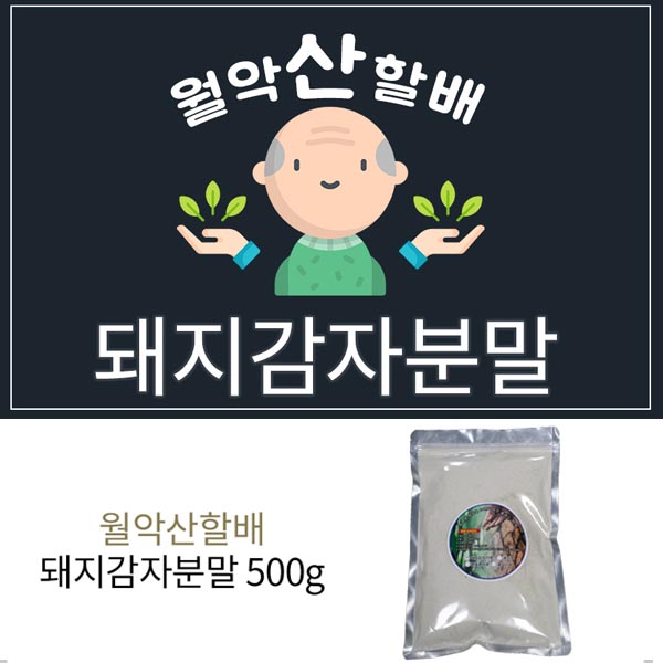 월악산 할배의 돼지감자 분말 1봉 500g