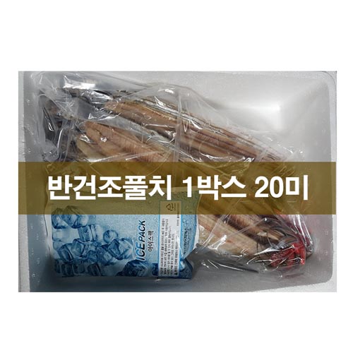 보약갈치 목포반건조 풀치 1박스 20미