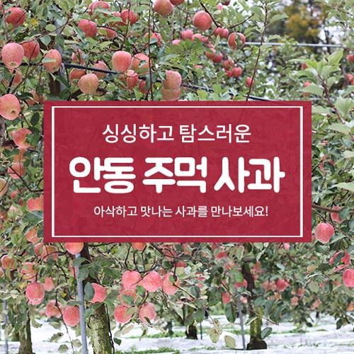 안동 주먹 사과 (한박스 13과 박스포함 3k 이상)