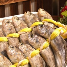 충남태안 한입참굴비 8팩(1팩당 5미/16~18cm)