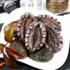 [산지직송]완도산 참전복(보자기선물포장) 1kg(10-11미)