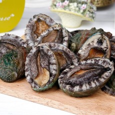 [산지직송]완도산 참전복 1kg(12-13미)