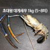 초대왕 대게새우 1kg (5~8미)
