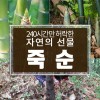 사천 명물 우후죽순 4k