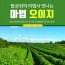 3천년 마법오이지 2봉 (2k이상)