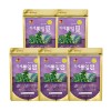 가세뽕잎 발효차 26g (1.3gx20T)*5EA