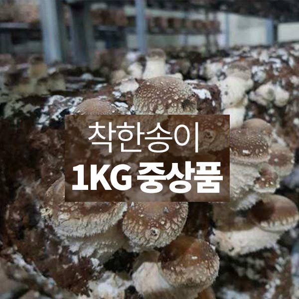 울아버지 착한송이 중상품 1kg