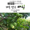 해풍맞은 고흥청매실 매실청용 10k(대,특) /예약판매 6.4일부터 순차발송