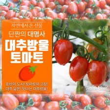 소양강 대추방울 토마토 빨강대추 3k
