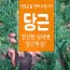 창원 흙당근 1박스 5kg