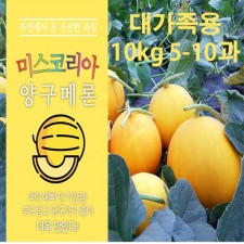 메론만물상의 양구 메론 대가족용 10kg (5~10과)