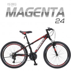 [지오닉스] 2019 뮤트 MTB 24