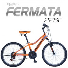 [지오닉스] 2019 뮤트 MTB 22