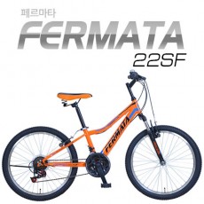 [지오닉스] 2019 뮤트 MTB 22