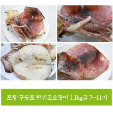 포항 구룡포 반건조오징어 1.1kg급 10미